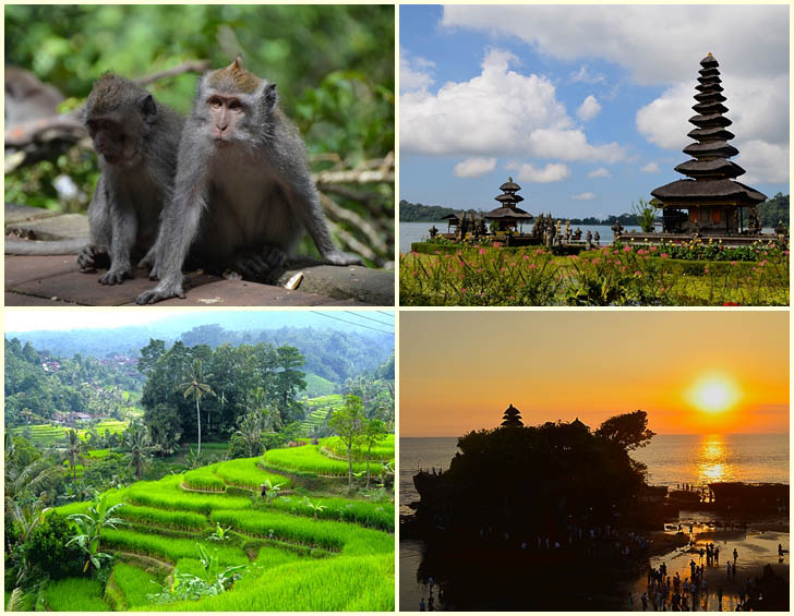 bali-exotische-tour bali-exotische-tour
