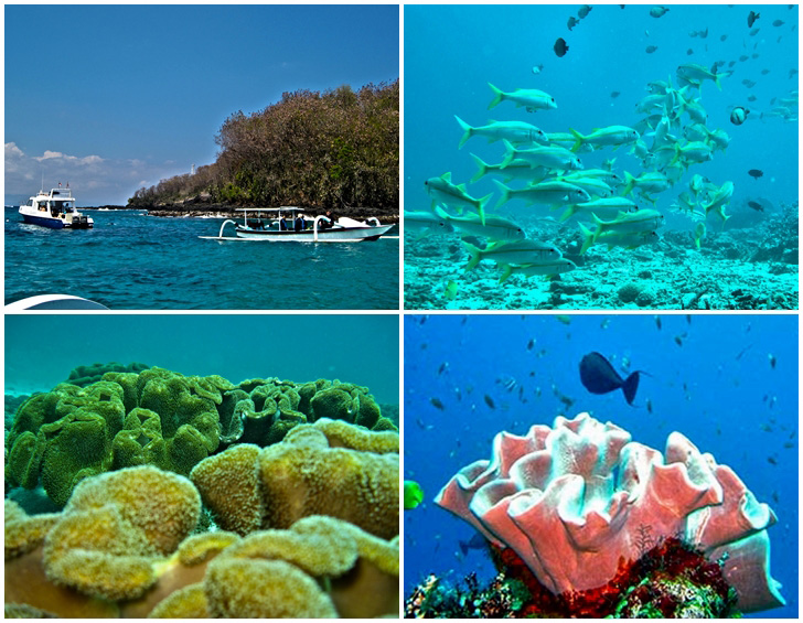 padang-bay-tauchen padang-bay-tauchen