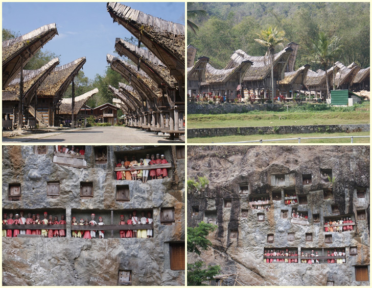 toraja-etnic-group